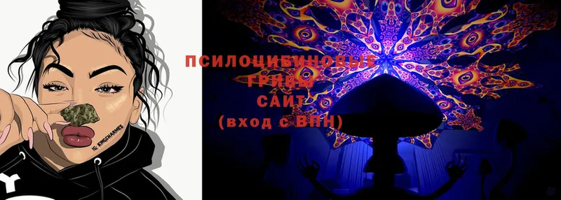 Псилоцибиновые грибы Cubensis  Каменск-Уральский 